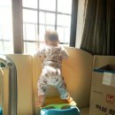 퍼진궁뎅이 이미지