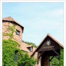 백야가든 이미지