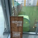 프찌 | 천안 두정동 : 내돈내산 애견카페 후기, 프찌