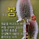 봄 늘봄같아라 봄향기 전합니다 ●사형수 아들을 살린 어머니의기도 이건희 회장 장인● 이미지