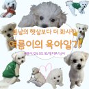 리츠펫(송도점) 이미지