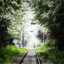 광시 이팝나무길 | 전주 숨은 봄 명소 발견🔥 이팝나무 철길 축제 현실 후기 (철길 개방 꼭 가세요)