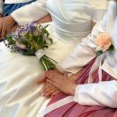 커들리플라워 - 부산진구 서전로 19 | 아르떼 웨딩 본식 "커들리 아이폰 스냅" 전달사항&후기만족도
