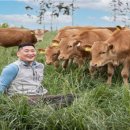 한우다움 이미지