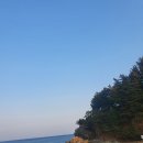 달달커피 이미지