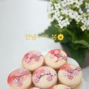 인생마카롱