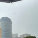 이조뼈다귀감자탕 이미지