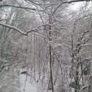 원주공고길 이미지