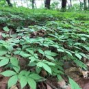 강원농장 이미지