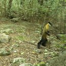 지팡이공원 이미지