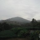 산그리고길