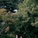 모브(MOV)