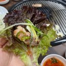 또꾸버 이미지