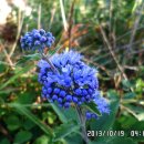 등대와올레길 이미지