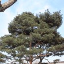 이화초교 이미지