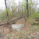 비석골근린공원 이미지