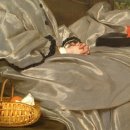 여행의 동반자 이미지