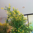 평강휴게소식당 이미지