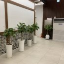 대궁식당 이미지