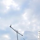 서울서남부농협하나로마트 보라매점 | 2025년12월28일 - 「하나로마트」에서 새해 맞이 초대박 상품들을 구입하다.