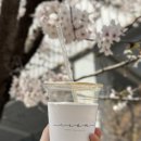 서혜커피 | [분당 정자역] 수제 바닐라빈 라떼가 맛있는 SEOHYE COFFEE 서혜커피 방문 후기