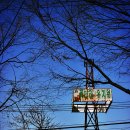 꽃나라유치원 이미지