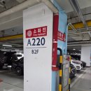 11590-라28-1 | 롯데월드 주차꿀팁 및 28개월 100cm 미만아기, 13개월아기와 방문후기