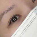 제일농약할인마트 | 경산 속눈썹 잘하는 곳 찾았다… 유지력 좋은 마이미니뷰티 펌포인트연장