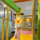 놀자게임장 | 볼베어파크 부천점 후기
