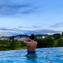 핑크팬더즈 이미지