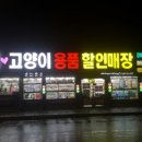 이츠펫(진천점) 이미지