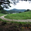 철선농장 이미지