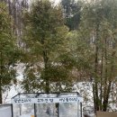 클럽프리모 이미지