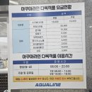 성남종합운동장 프리다이빙 원데이클래스 - 모션다이브 체험 수업 강추 후기!