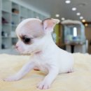 남문동물병원 이미지