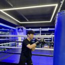 용인대SM복싱클럽 장기점 이미지