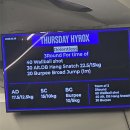 서초중앙로8길 115 (1) | 운동싫어 인간의 운동기록 ,위크로스핏 교대점 8개월 찐후기 골격근량 +3.7kg ! 인바디 변화