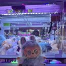 짱인형 SHOP 이미지