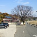 대병경로당 Daum카페