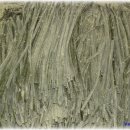 시장제분소 이미지