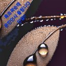 ※ 우리말 ※ 이미지