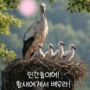 인간들이여 ~황새에게서 배우라! 이미지