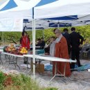 태성1호태양광발전소 이미지