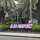 봉주로길 | [제주도여행] 결혼기념일 1주년으로 다녀온 1박2일