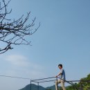 석탑공인중개사사무소 이미지