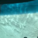 오토워시존 이미지