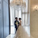 동면농업협동조합 | [필마이스냅] 양산 지펠리체웨딩 아이폰스냅 촬영 후기