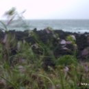 제주하늘바람 이미지