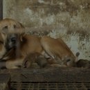 유일농장 이미지