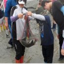 종현어촌체험마을 이미지